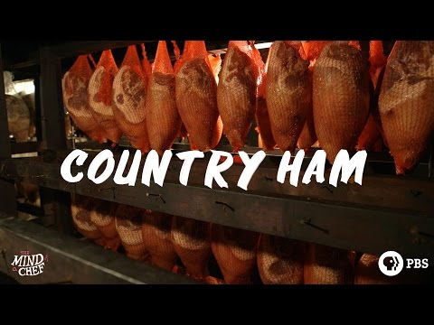download lagu mp3 mp4 Kentucky Ham, download lagu Kentucky Ham gratis, unduh video klip Kentucky Ham