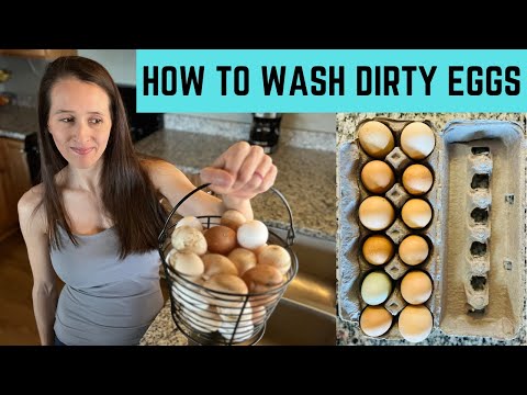 How To Wash Dirty Backyard Chicken Eggs From The Coop
