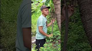 Download lagu video lucu bikin ngakak hiburan warga 62 #funny #comedyterbaru mp3