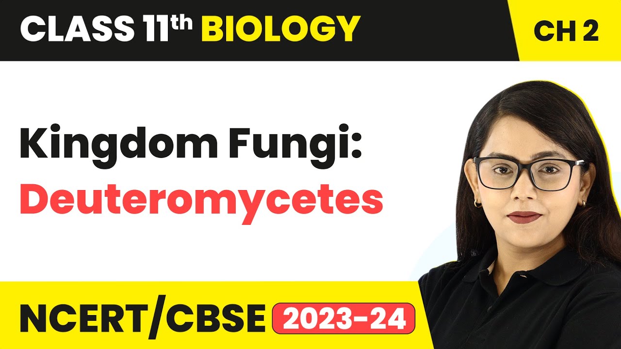 Kingdom Fungi: Deuteromycetes - Biological Classification | Class 11 Biology Chapter 2 | NCERT/CBSE