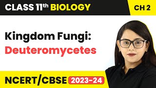 Kingdom Fungi: Deuteromycetes - Biological Classification | Class 11 Biology Chapter 2 | NCERT/CBSE