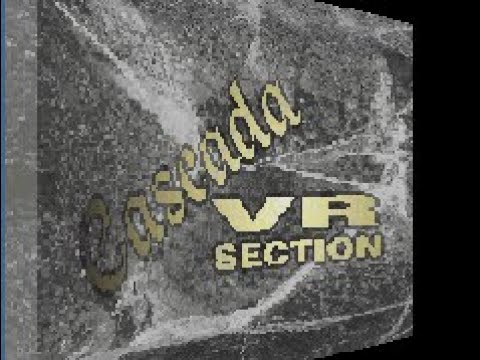 DSR 037 - Zodiak - Shelter