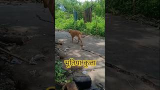 Download lagu #youtubeshorts #ytshorts bokeh full frame asli bokeh full frame asli 1 jam mp3 Download lagu #youtubeshorts #ytshorts bokeh full frame asli bokeh full frame asli 1 jam mp3