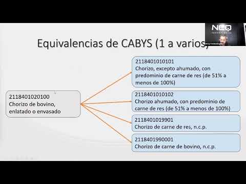 Webinar: Actualización de catálogo de códigos CAByS