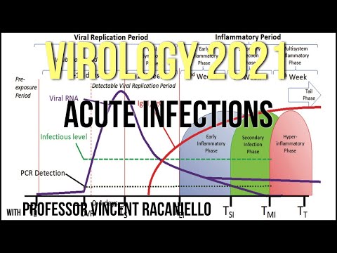 Virology Lectures 2021 #16 - Acute Infections