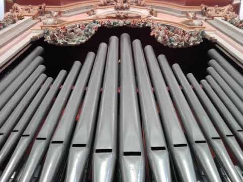 Niccolò Moretti, Sonata X ad uso sinfonia, played by Luca Scandali (live recording)