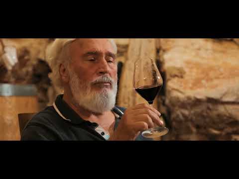 Vinarija Tomic - An introduction video