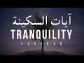 AYAT SAKINAH | AYAT OF TRANQUILITY | Omar Hisham Al Arabi