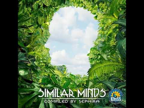 Saphira Feat The Hang Playing Hedge Monkeys - Top Mast 432hz