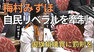参政党・梅村みずほ議員が国旗損壊罪に罰則をと総理に迫る#国旗損壊罪#参政党