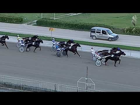 Aversa trotto 11 Novembre 2020 - 5° Corsa