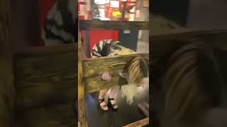 Save Me Guys ??I Love U All #shorts #fyp #sexyass #tiktokchallenge