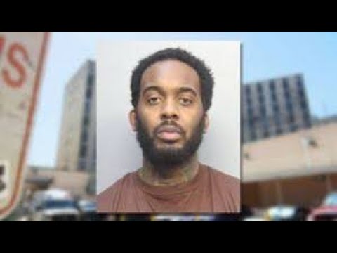 The THOROBREAD Story Trailer