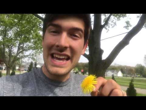 download lagu mp3 mp4 How To Make Tea Naturally, download mp3 How To Make Tea Naturally free downloadn, video klip How To Make Tea Naturally