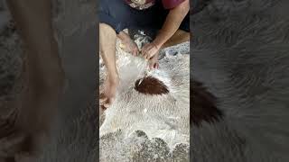 Download lagu cara cara mengikir kulit kambing di perusahaan kompang batu pahat. www.kompang.com.my 0127508281 mp3 Download lagu cara cara mengikir kulit kambing di perusahaan kompang batu pahat. www.kompang.com.my 0127508281 mp3