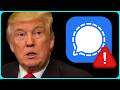 Trump S Signal Clone App Was Hacked In 15 Minutes