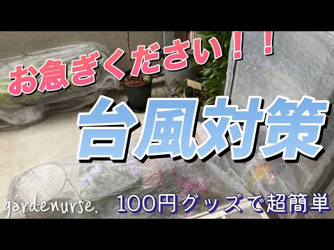 鉢植えの風よけ 庭の練習