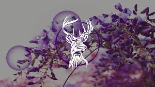 KLP - Melt (Loftus Remix)