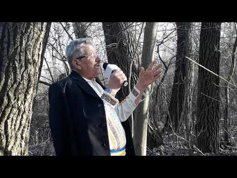 Foaie verde rar marar