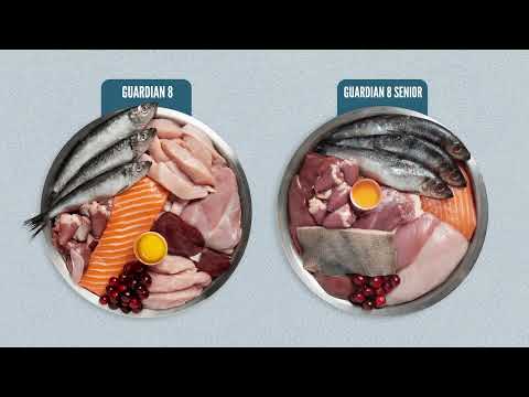 ORIJEN CANADA Guardian 8 Cat