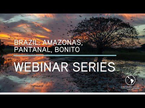 Brazil Amazonas, Pantanal, Bonito - Contours Travel Webinar Series