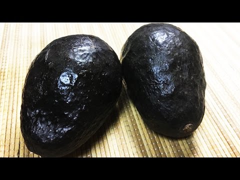 ค้อนของ ธ อร์ในภาษาอังกฤษ ผลกระทบเชื้อโรคม้าในวิดีโอของมนุษย์