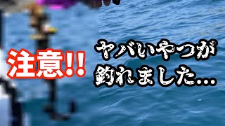 初めてボート釣りに挑んだ結果…【実践編】