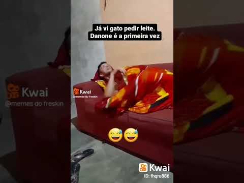Já vi Gato pedir leite Danone é a primeira vez