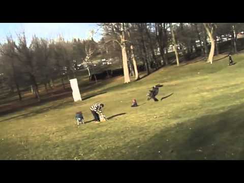 Adler schnappt sich Baby !!