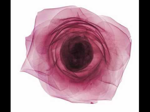 Adam Marshall - Thelon