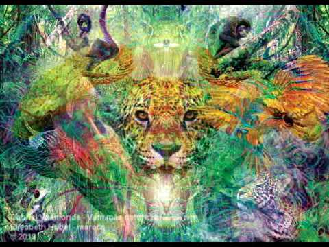 Vem Mãe Natureza - Txai Gabriel