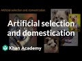 Artificial selection and domestication | Natural selection | AP Biology | Khan Academy