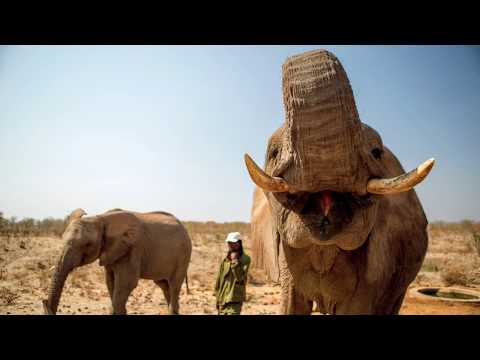 Liza van Deventer video.