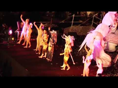 PUGLIA NIGHT PARADE, la bellezza e il futuro - regia di Michele Lanubile