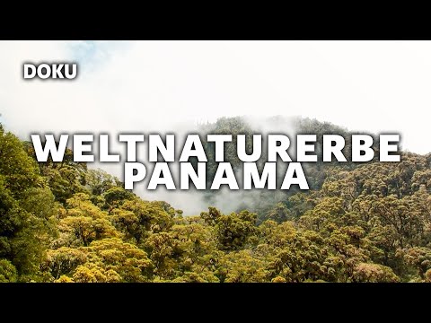 World Heritage Site Panama: La Amistad National Park (Documentary | Documentary German)