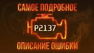 video-img