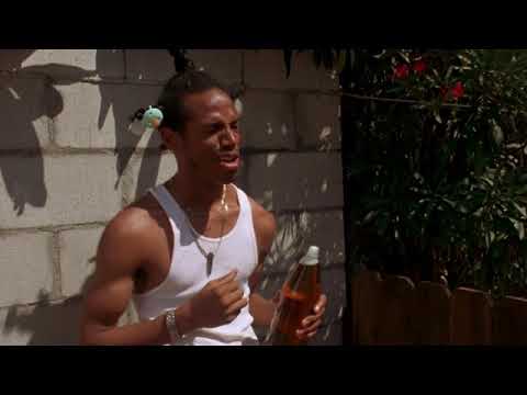 For all the homies - Don't Be a Menace to South Central While Drinking Your Juice in the Hood