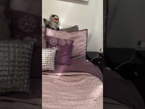 3302 N Leavitt - Video 2 of 2