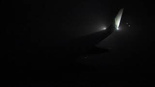Inbound PHX-DCA AA #1119 737-823(W) N342PM 1 Nov 2018