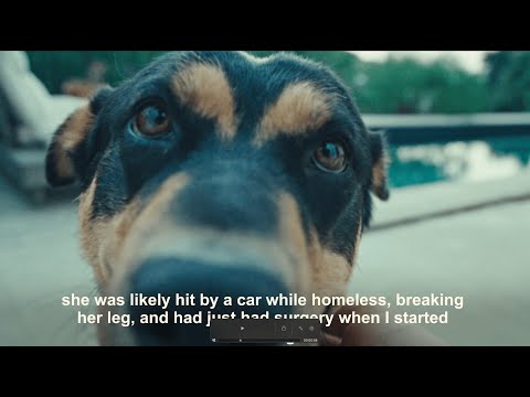 Aden Foyer - In Every Photograph (Official Video)