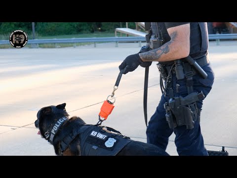Redefining Tactical K9 Deployment