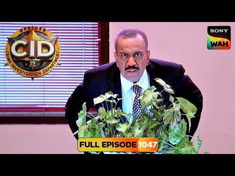 एक Plant बना CID का Witness | CID | सी.आई.डी. | 24 Aug 2025