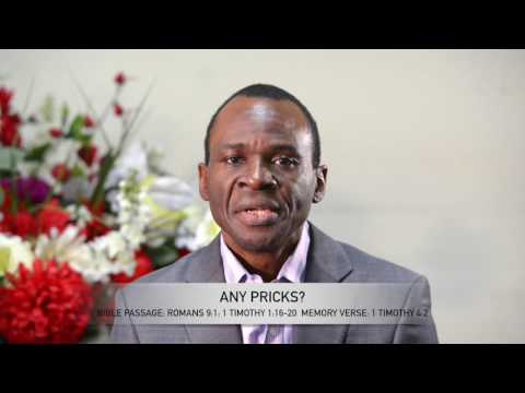 Open Heavens Reflections 20 March 2017 -  Any Pricks?