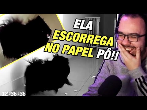 LUDGERO MOSTRA SEU CACHORRO SOFRENDO PENALTI - Cortes do Ludgero