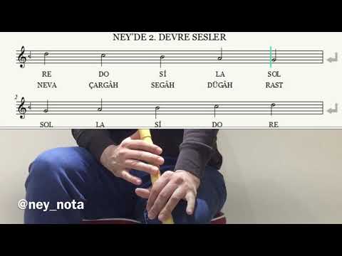 NEY-NOTA NEY’de 2. Devre Sesler Ney Dersleri Başlangıç