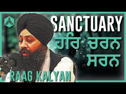 SANCTUARY 🌸 Har Charan Saran // Raag Kalyan // Dr Gurinder Singh Ji (Batala)