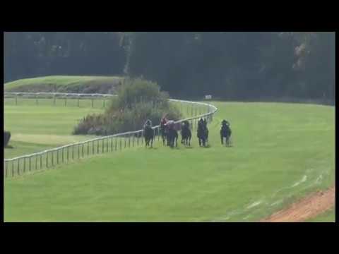 KV, 28. 9. 2018, 4. dostih - Cena společnosti Jan Becher KARLOVARSKÁ BECHEROVKA