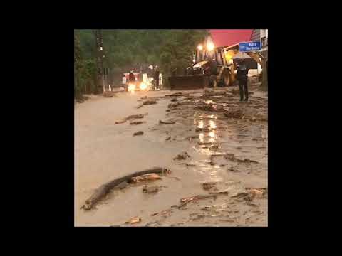 Cosbuc valea Hordoului 15 mai 2019