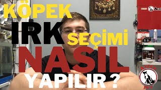 Köpek Irk Seçimi Nasıl Yapılır ? -Ayzek Petshop