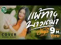 แพ้ทางบ่าวเฒ่า ฮันนี่ นิชาดา COVER VERSION Origi